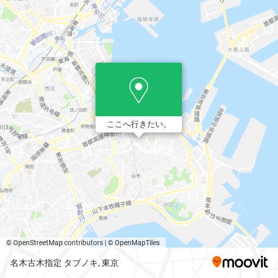 名木古木指定 タブノキ地図