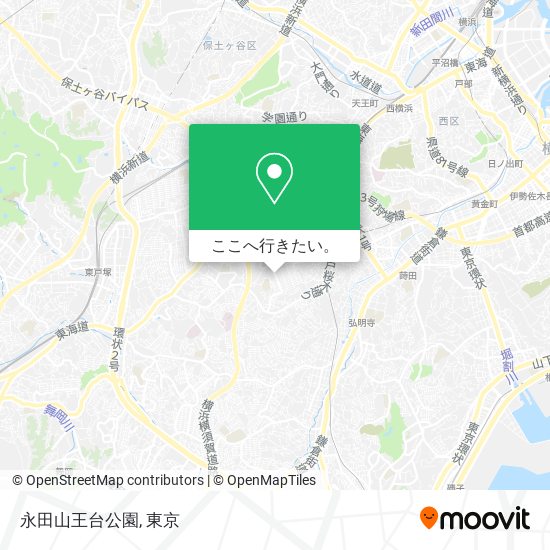 永田山王台公園地図