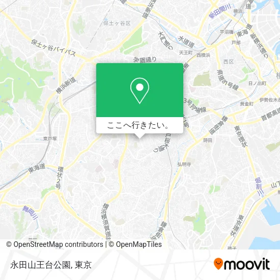 永田山王台公園地図