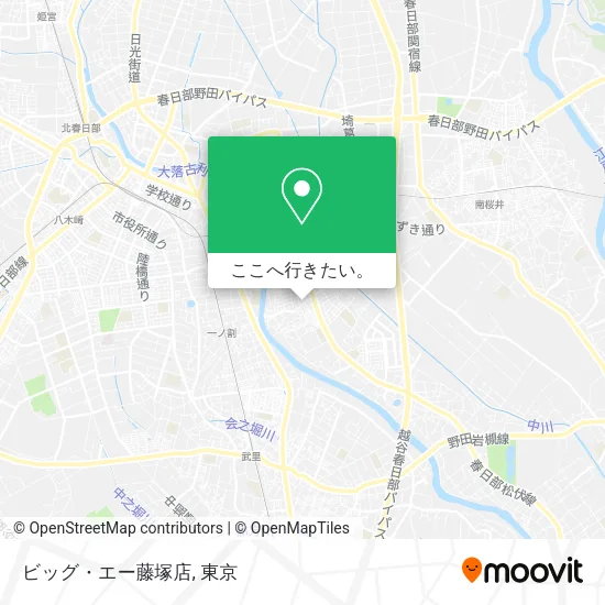 ビッグ・エー藤塚店地図
