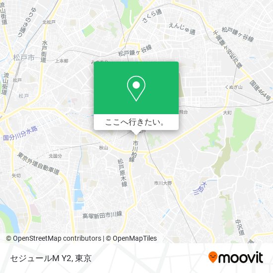 セジュールM Y2地図