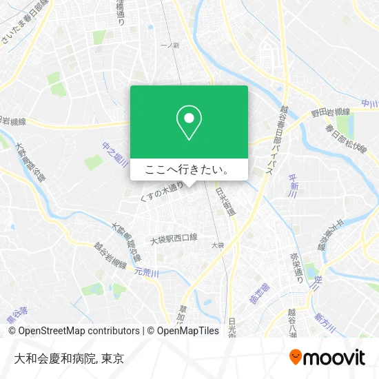 大和会慶和病院地図