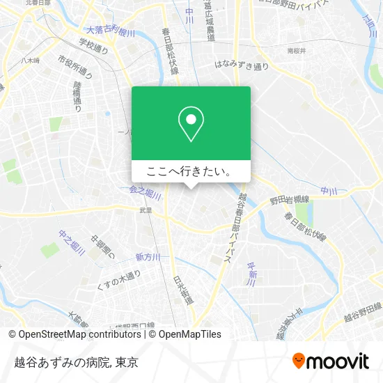 越谷あずみの病院地図