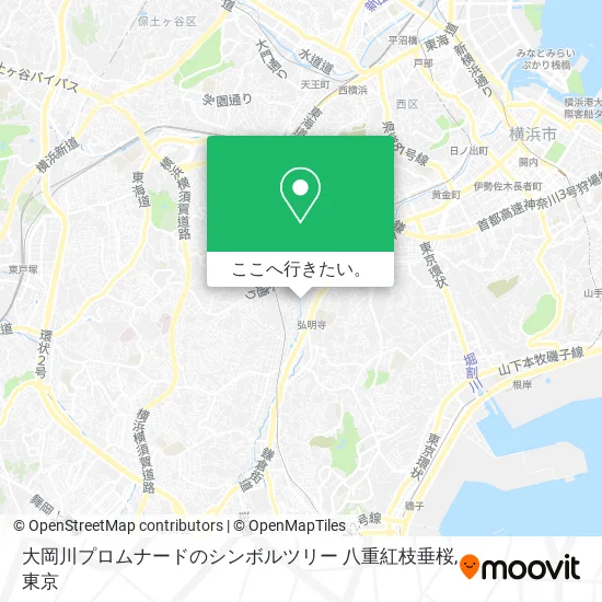 大岡川プロムナードのシンボルツリー 八重紅枝垂桜地図