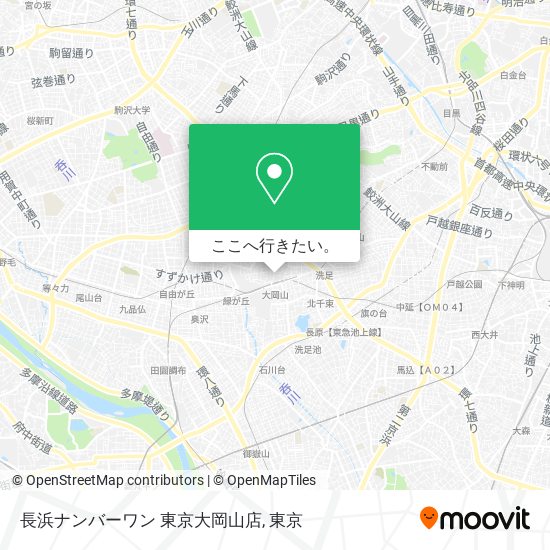 長浜ナンバーワン 東京大岡山店地図