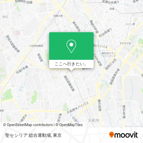 聖セシリア 総合運動場地図