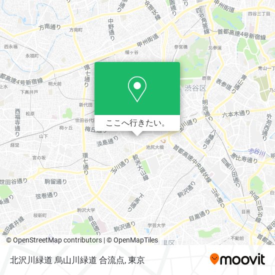 北沢川緑道 烏山川緑道 合流点地図