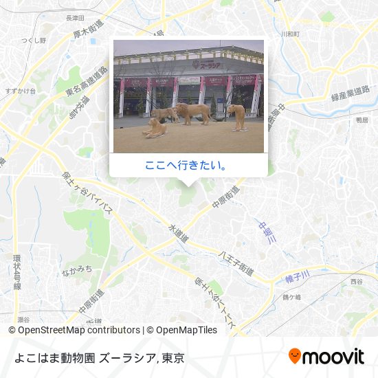 よこはま動物園 ズーラシア地図