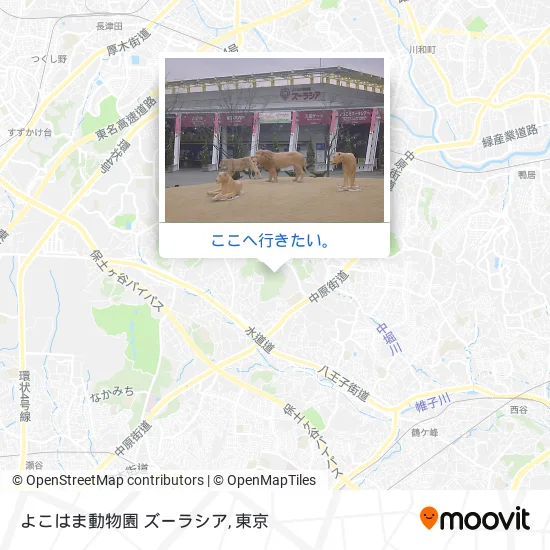 よこはま動物園 ズーラシア地図