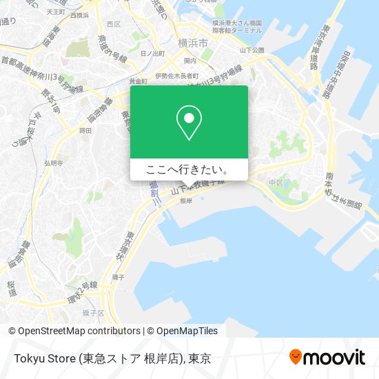 Tokyu Store (東急ストア 根岸店)地図