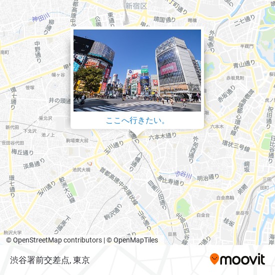 渋谷署前交差点地図