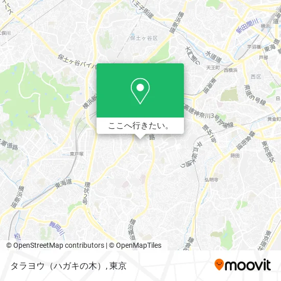 タラヨウ（ハガキの木）地図