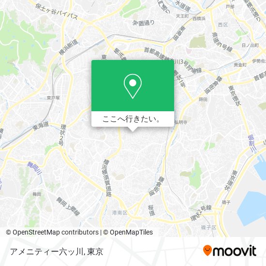 アメニティー六ッ川地図