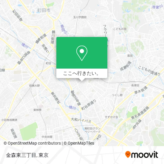 金森東三丁目地図