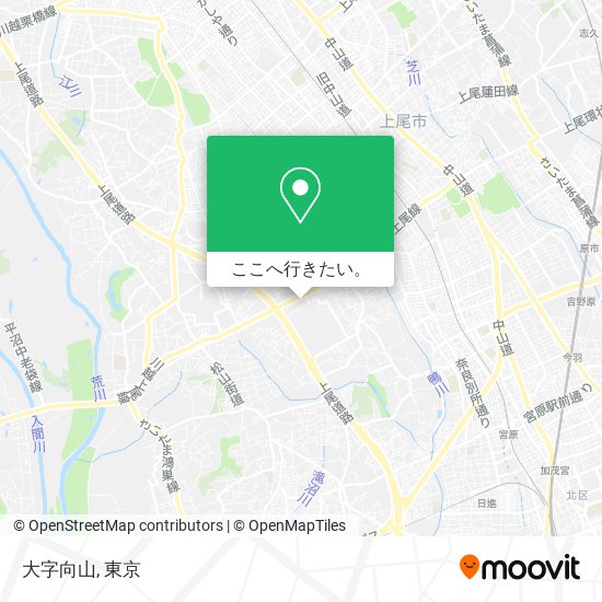 大字向山地図