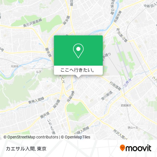 カエサル入間地図