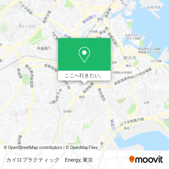 カイロプラクティック　Energy地図