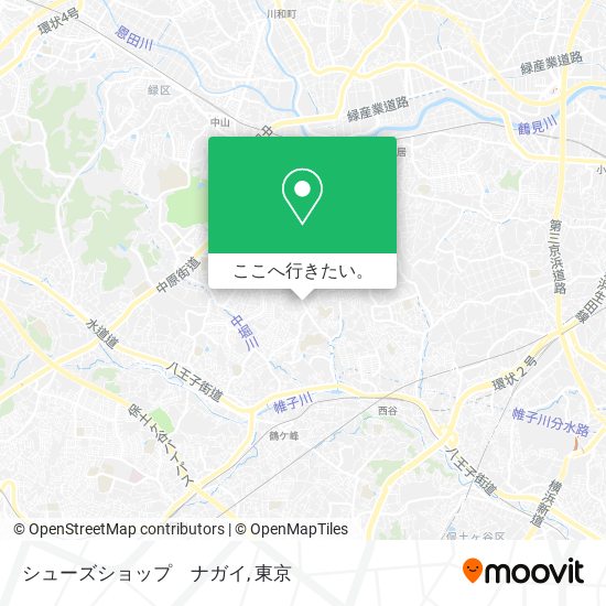 シューズショップ　ナガイ地図