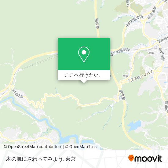 木の肌にさわってみよう地図