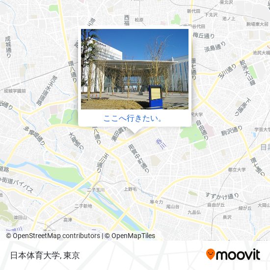 日本体育大学地図