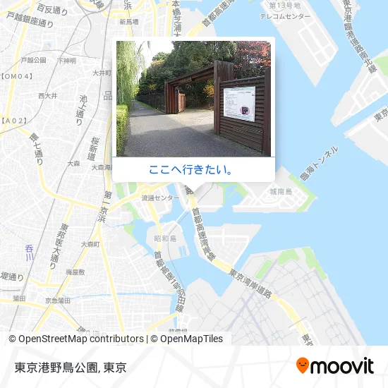 東京港野鳥公園地図