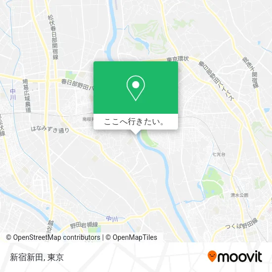 新宿新田地図