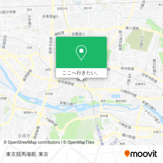 東京競馬場前地図