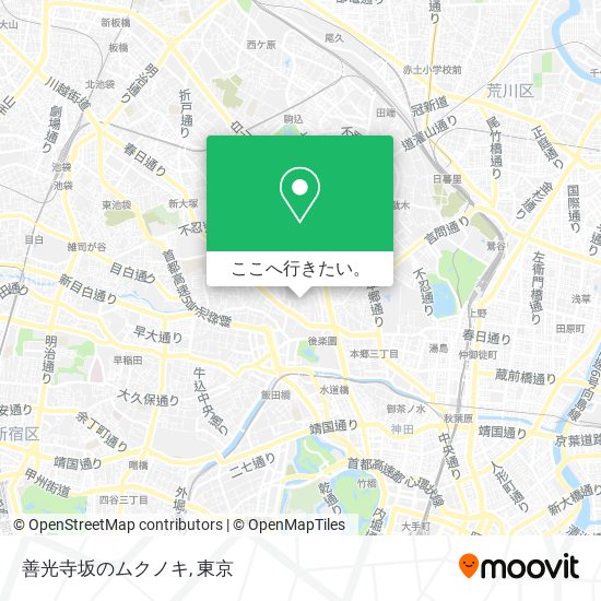 善光寺坂のムクノキ地図