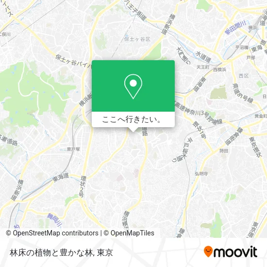 林床の植物と豊かな林地図