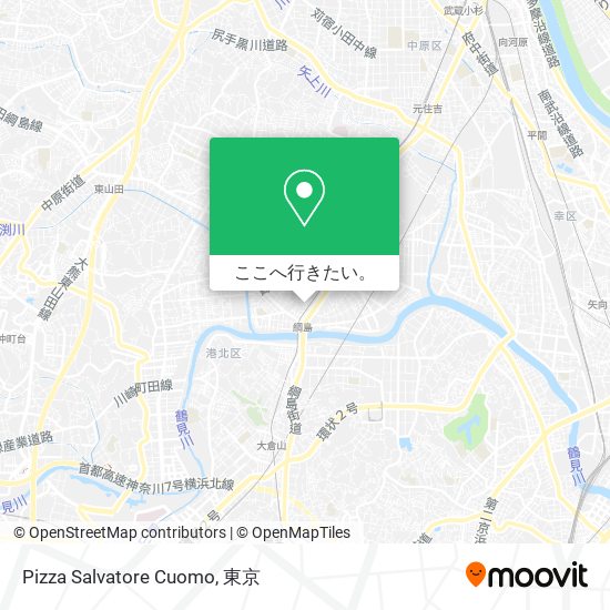 Pizza Salvatore Cuomo地図