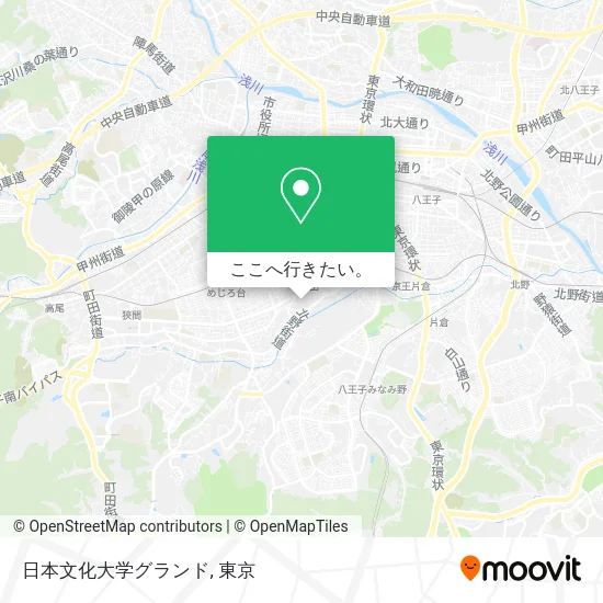 日本文化大学グランド地図
