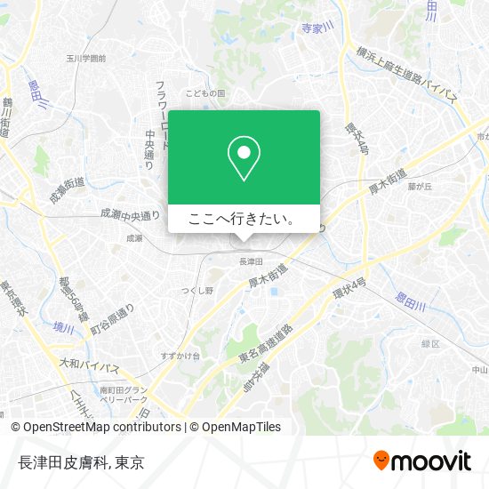 長津田皮膚科地図