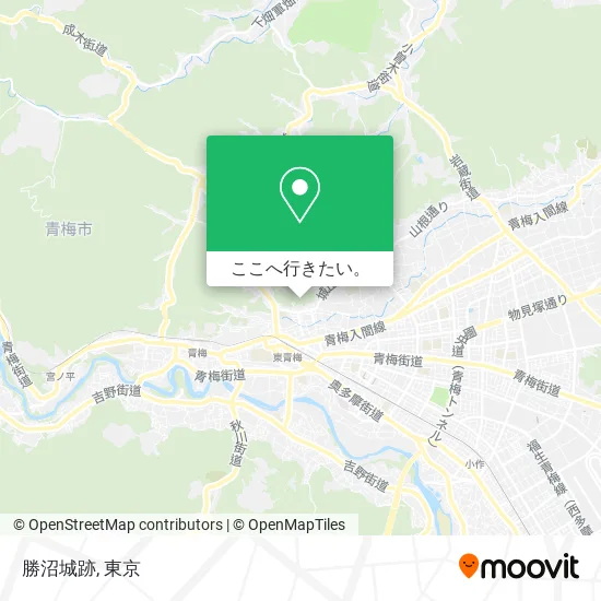 勝沼城跡地図