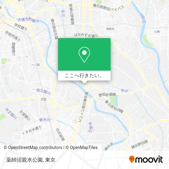 薬師沼親水公園地図