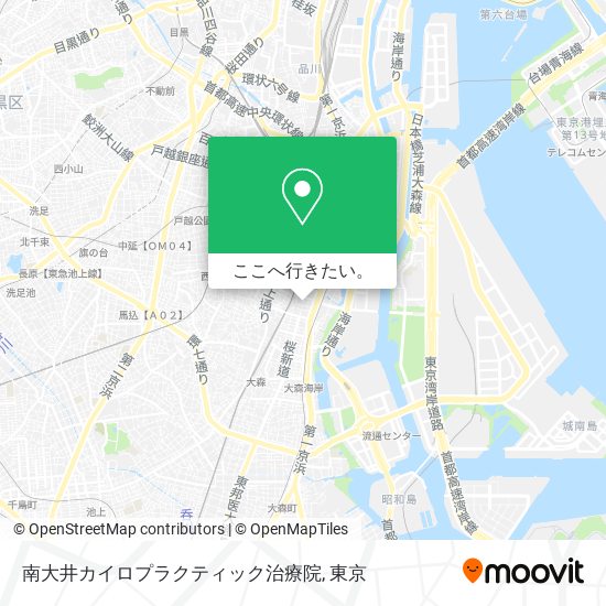 南大井カイロプラクティック治療院地図