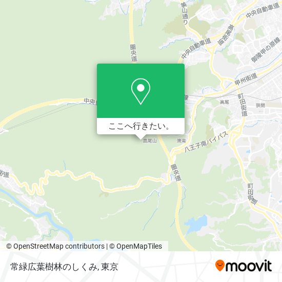 常緑広葉樹林のしくみ地図