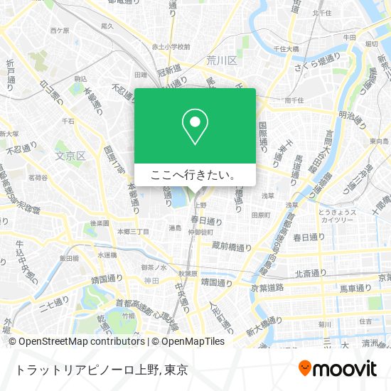 トラットリアピノーロ上野地図