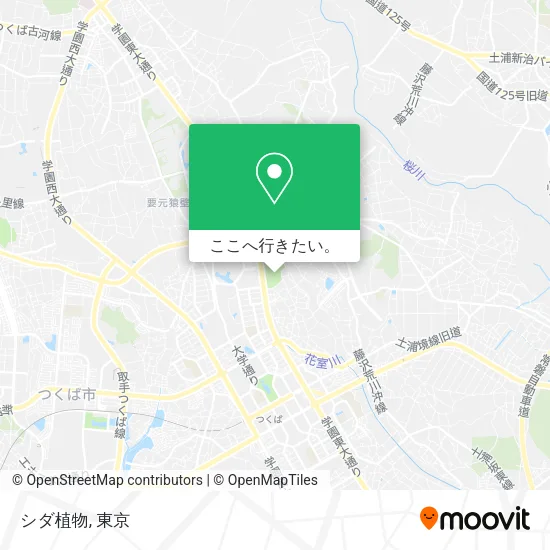 シダ植物地図