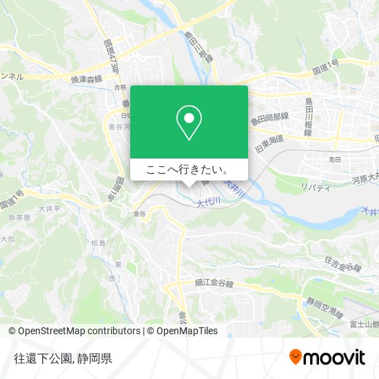 往還下公園地図