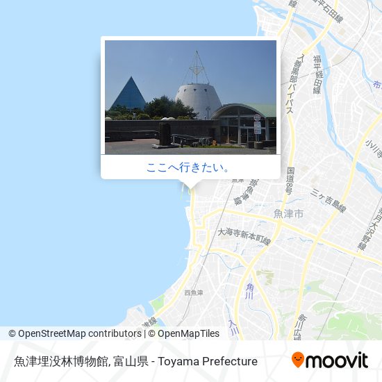 魚津埋没林博物館地図