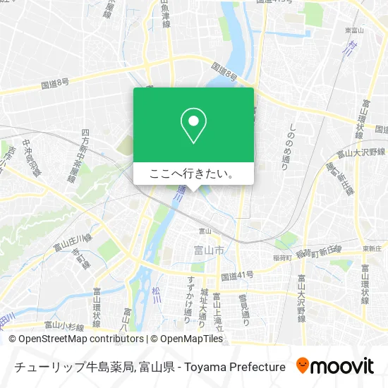 チューリップ牛島薬局地図