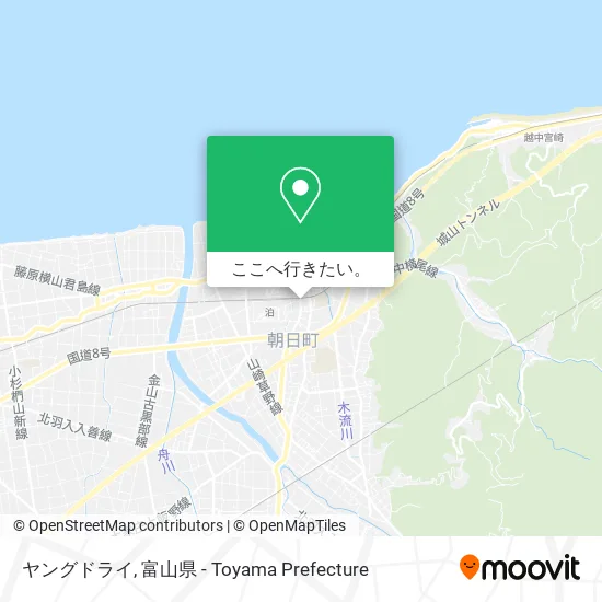 ヤングドライ地図