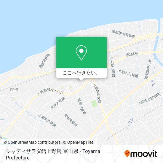 シャディサラダ館上野店地図