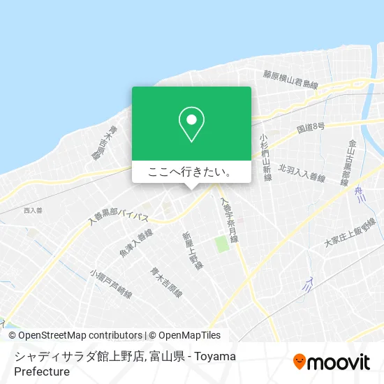 シャディサラダ館上野店地図