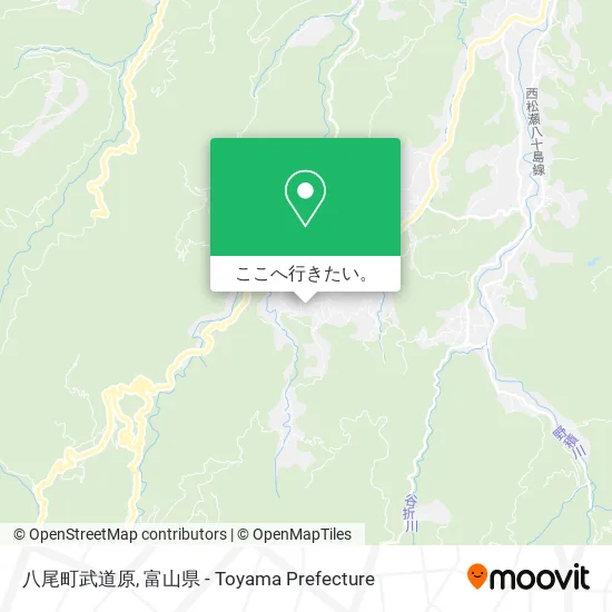 八尾町武道原地図