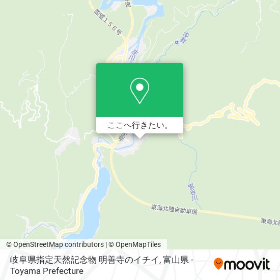 岐阜県指定天然記念物 明善寺のイチイ地図