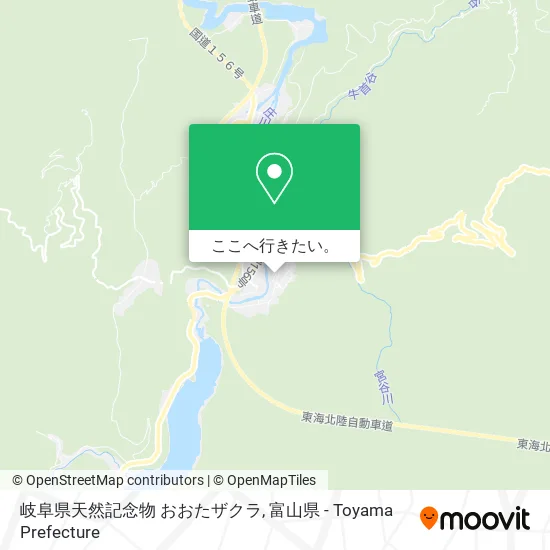 岐阜県天然記念物 おおたザクラ地図