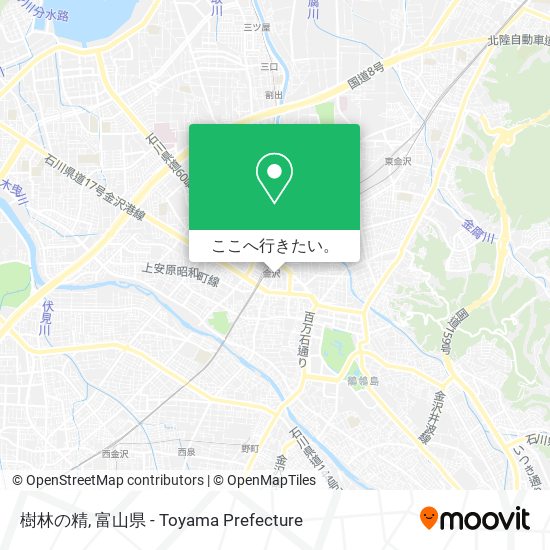 樹林の精地図