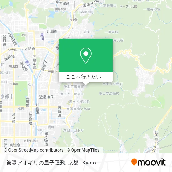 被曝アオギリの里子運動地図