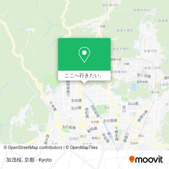 加茂桜地図